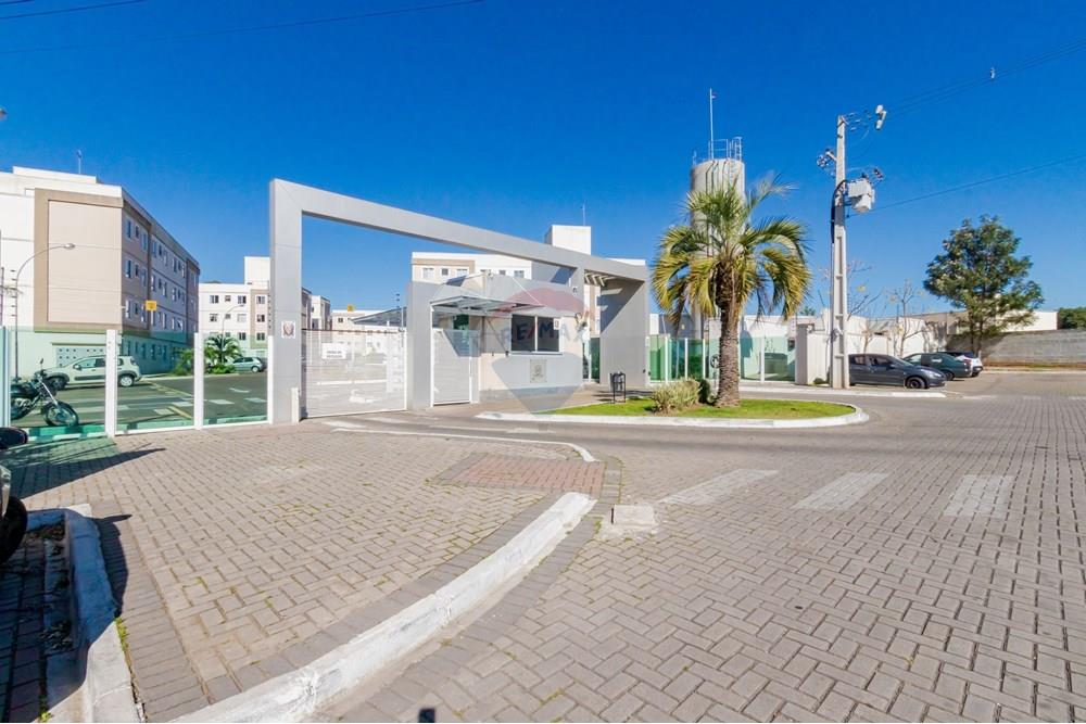 Apartamento - Venda - São José dos Pinhais , Paraná - IMG_9325.jpeg - 560331022-68