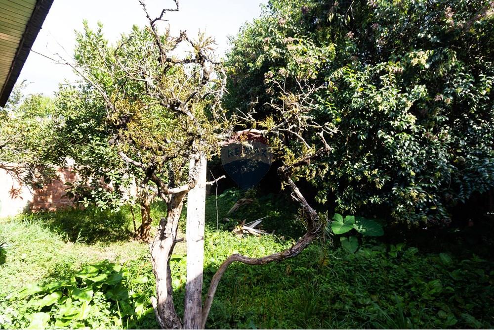 Terreno - Venda - Curitiba , Paraná - IMG_7297.jpg - 560331019-84