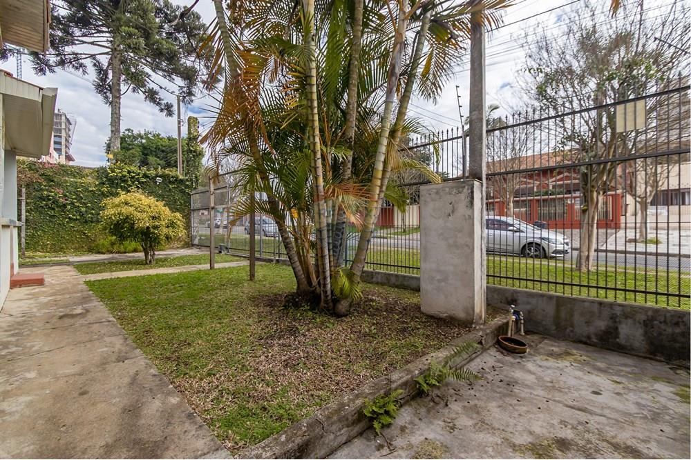 Terreno - Venda - Curitiba , Paraná - IMG_2219.jpg - 560311047-485