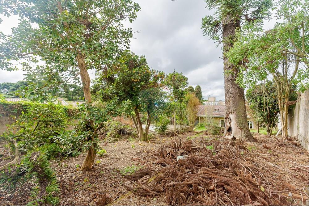 Casa - Venda - Curitiba , Paraná - IMG_2069.jpg - 560321141-1