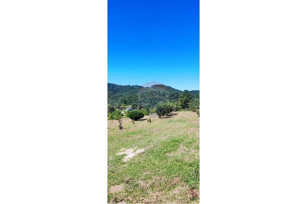 Chácara / Sítio / Fazenda - Venda - São José dos Pinhais , Paraná - 27.jpeg - 560331080-8