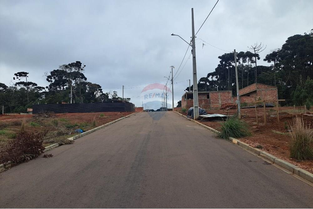 Terreno - Venda - Fazenda Rio Grande , Paraná - WhatsApp Image 2025-08-29 at 19.18.39 (1).jpeg - 560441032-9