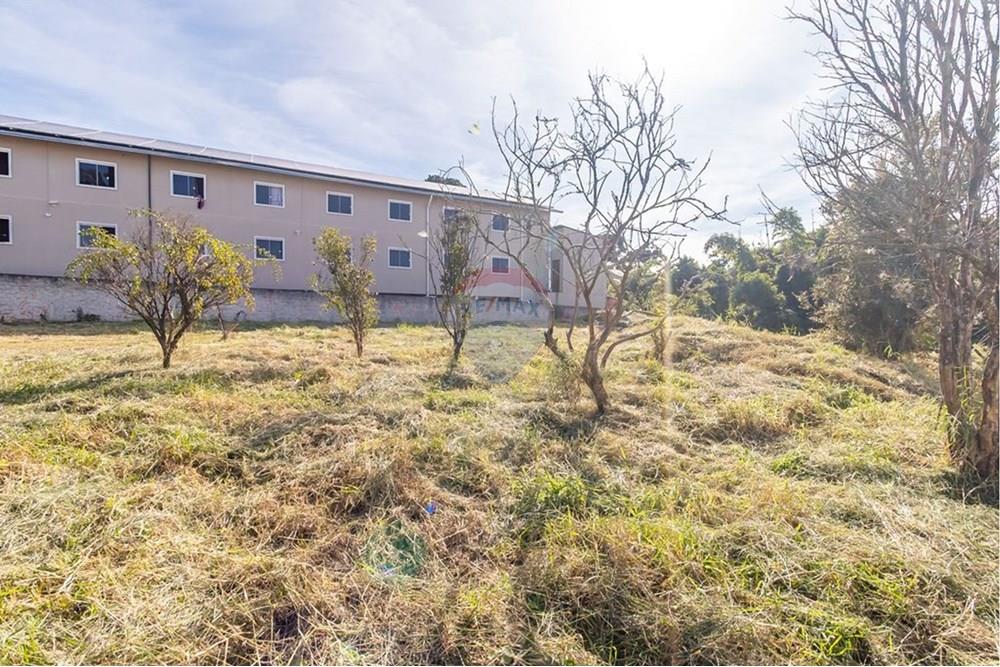 Terreno - Venda - Curitiba , Paraná - iVk26z9A.jpeg - 560441003-37