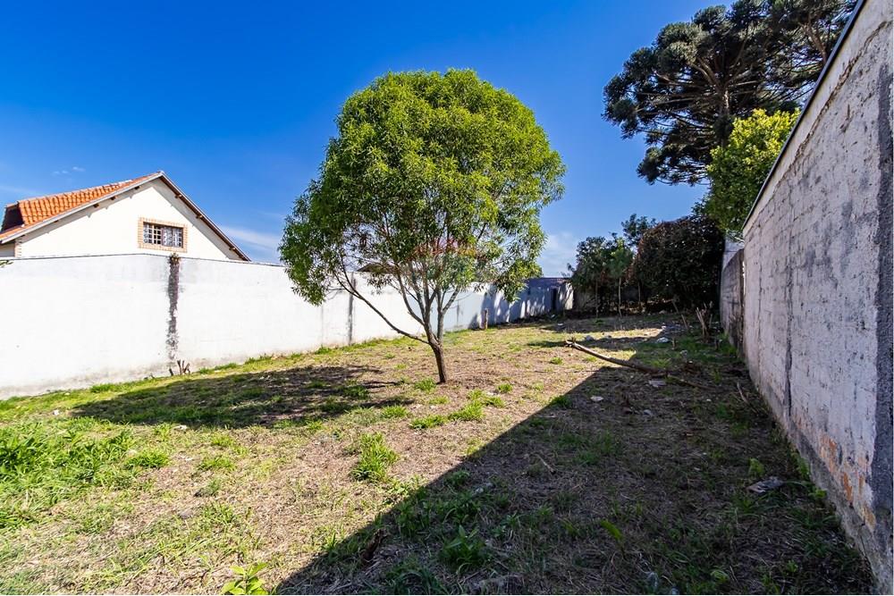 Terreno - Venda - Curitiba , Paraná - IMG_7312.jpg - 560341040-20