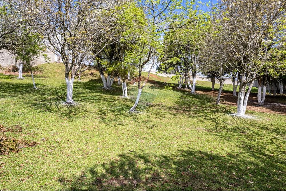 Terreno - Venda - Campo Largo , Paraná - DJI_0837.jpg - 560391078-61