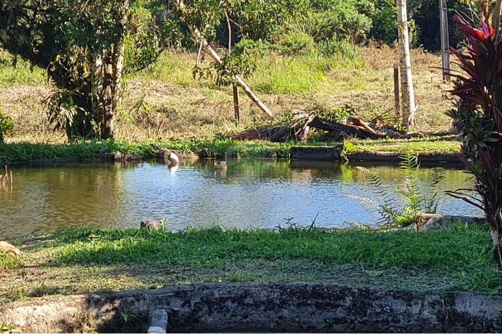 Chácara / Sítio / Fazenda - Venda - Antonina , Paraná - be661123-648f-4bc6-97be-35adf54c9abf.jpeg - 560391051-9