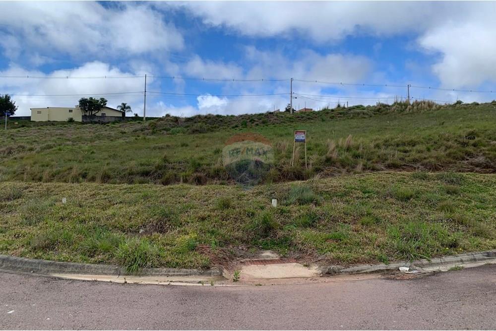 Terreno - Venda - Quatro Barras , Paraná - 03 (2).jpg - 560461019-10