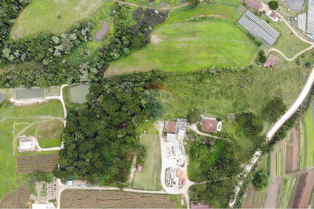 Terreno - Venda - São José dos Pinhais , Paraná - DJI_0655.JPG - 560351069-39