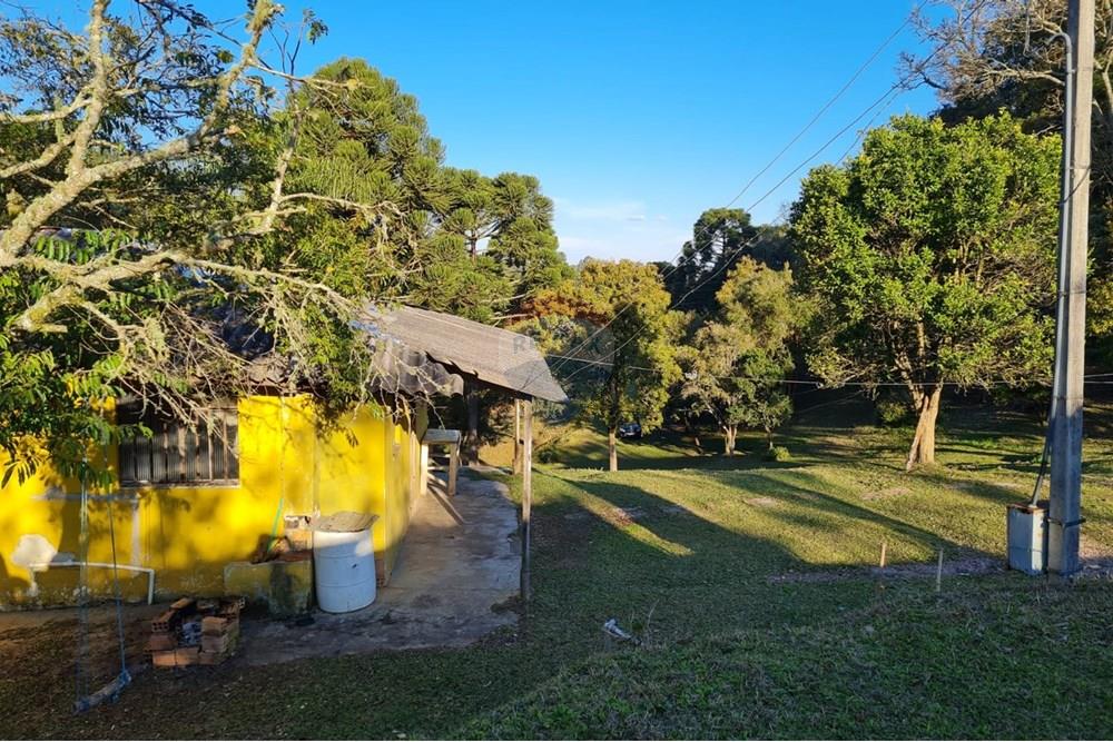 Chácara / Sítio / Fazenda - Venda - Mandirituba , Paraná - cfc7268a-d67c-441e-b1a9-3b08604a4de2.jpeg - 560391051-7