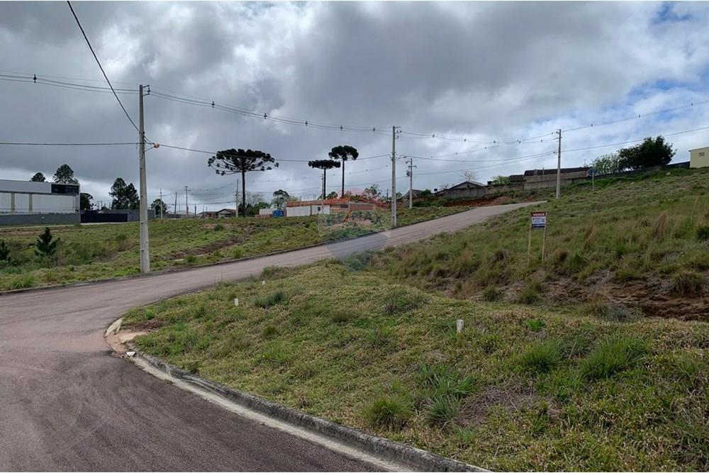 Terreno - Venda - Quatro Barras , Paraná - 06.jpg - 560461019-10