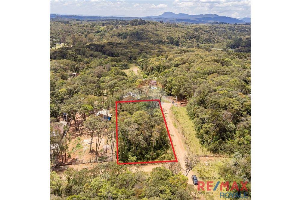 Terreno - Venda - São José dos Pinhais , Paraná - 6 - 560251029-43
