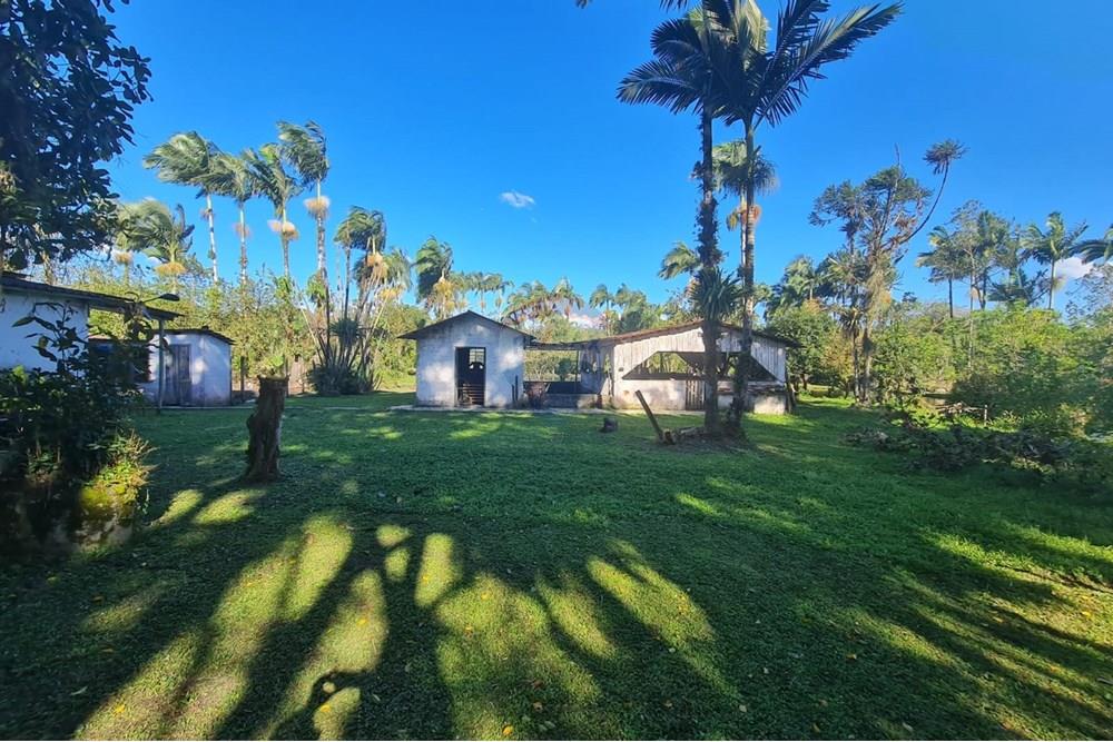 Chácara / Sítio / Fazenda - Venda - Antonina , Paraná - c9cbf704-dcc7-4b8c-9595-36fadaa9d6a4.jpeg - 560391051-9