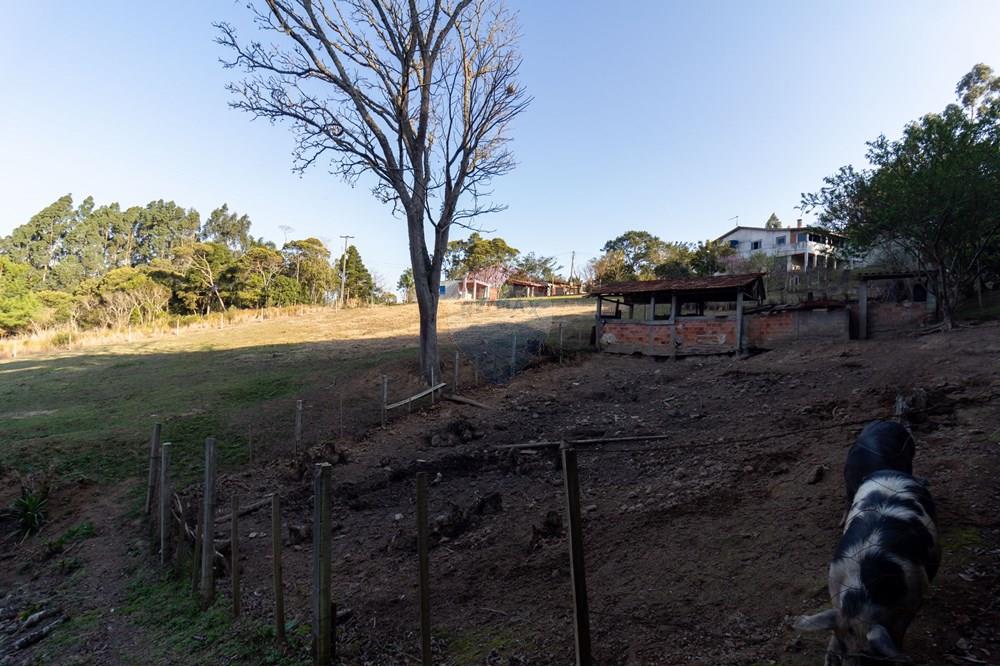 Chácara / Sítio / Fazenda - Venda - Mandirituba , Paraná - IMG_1356.jpg - 560341112-24