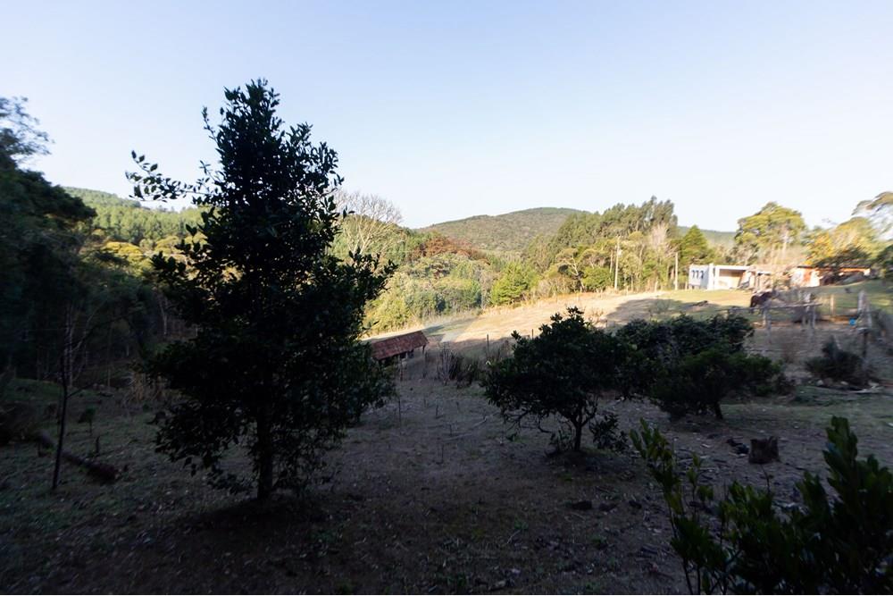 Chácara / Sítio / Fazenda - Venda - Mandirituba , Paraná - IMG_1352.jpg - 560341112-24