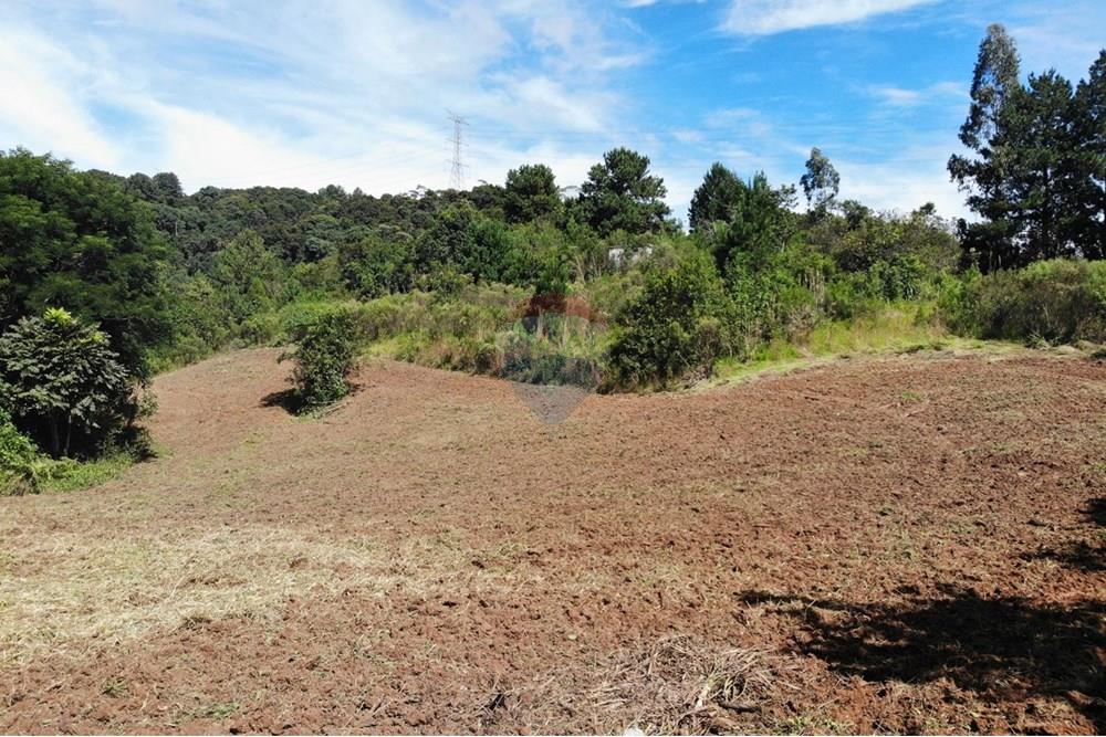 Chácara / Sítio / Fazenda - Venda - Campo Magro , Paraná - WhatsApp Image 2025-04-09 at 19.11.31 (1).jpeg - 560351106-18