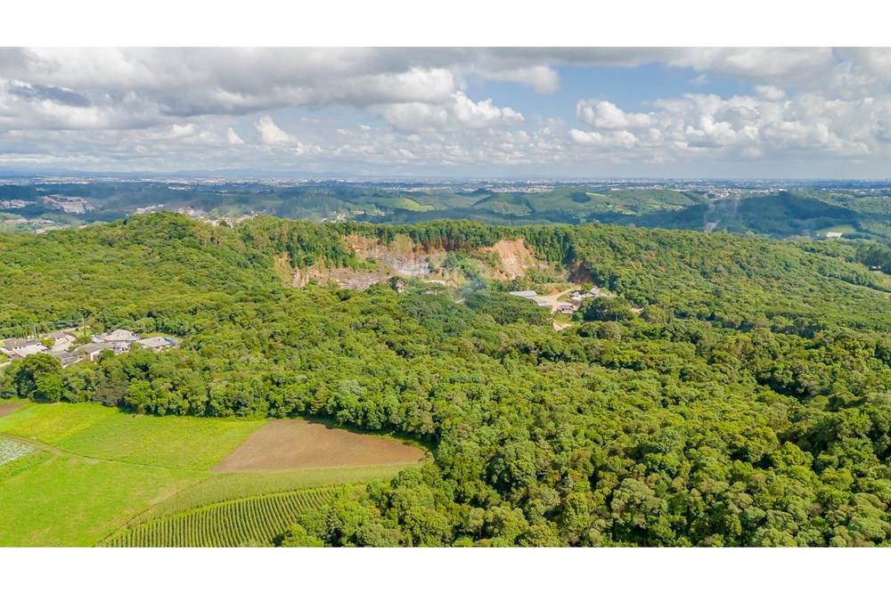 Terreno - Venda - Colombo , Paraná - DJI_20250317150223_0145_D.jpg - 560391062-11