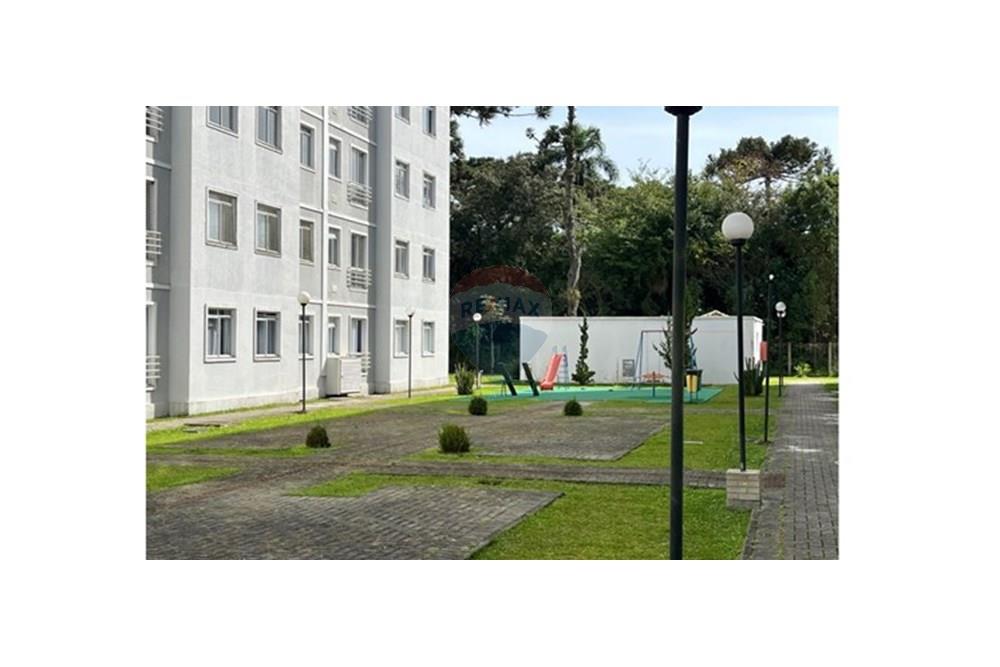 Apartamento - Venda - São José dos Pinhais , Paraná - IMG_0172.jpeg - 560481004-1