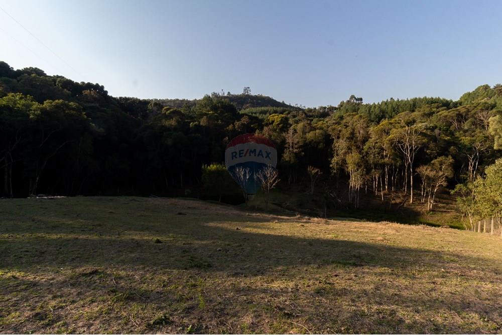 Chácara / Sítio / Fazenda - Venda - Mandirituba , Paraná - IMG_1364.jpg - 560341112-24