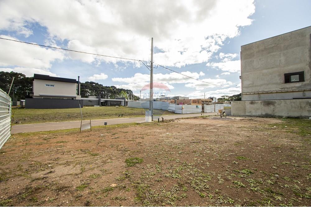 Terreno - Venda - São José dos Pinhais , Paraná - IMG_0278.jpg - 560411070-66