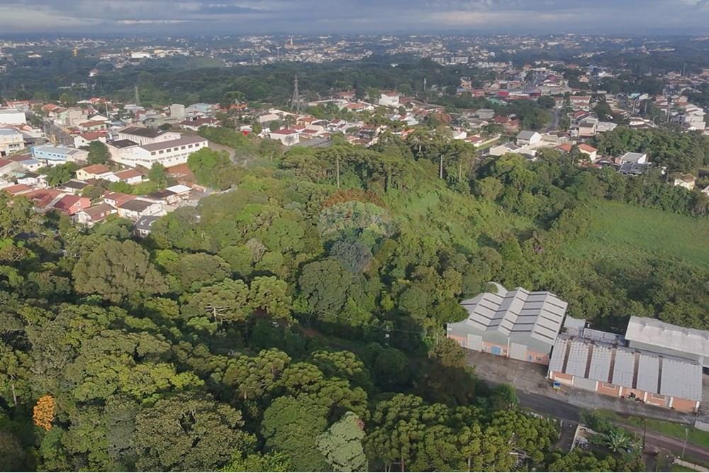 Terreno - Venda - Curitiba , Paraná - IMG-20250407-WA0021.jpg - 560321151-1