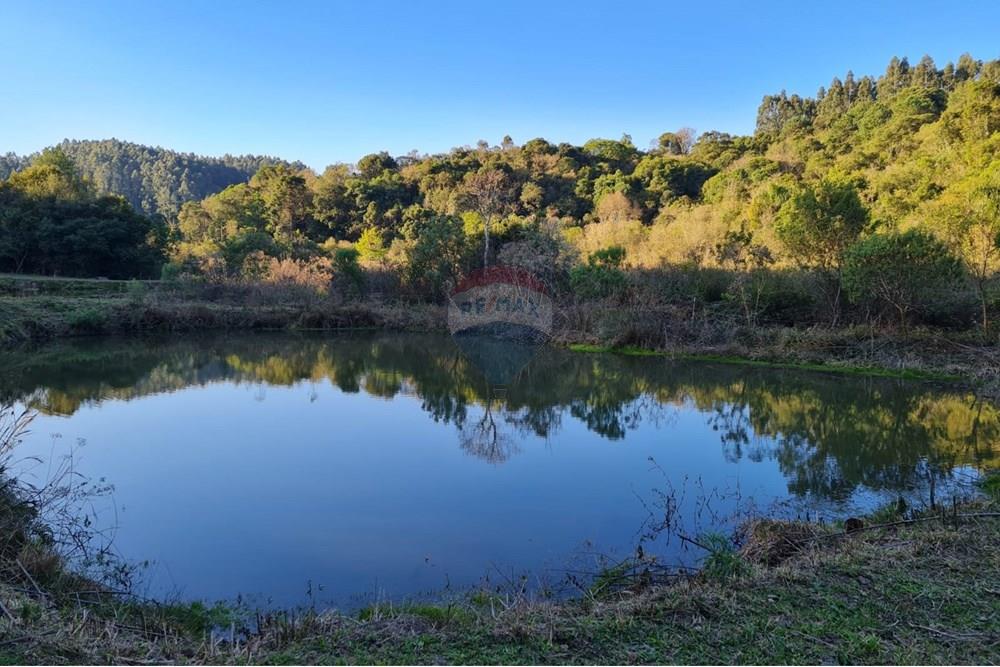Chácara / Sítio / Fazenda - Venda - Mandirituba , Paraná - 8b5671b8-dc1a-40e2-8a97-2f8c8023d2aa.jpeg - 560391051-7