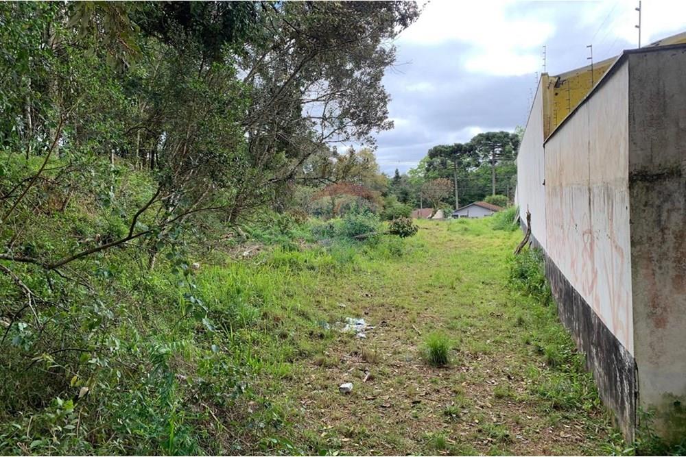 Terreno - Venda - Curitiba , Paraná - 13.jpg - 560461019-13