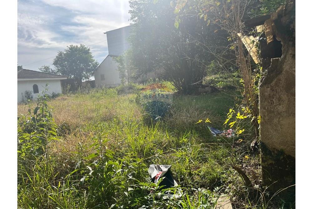 Terreno - Venda - Colombo , Paraná - IMG-20250717-WA0071.jpg - 560411036-8