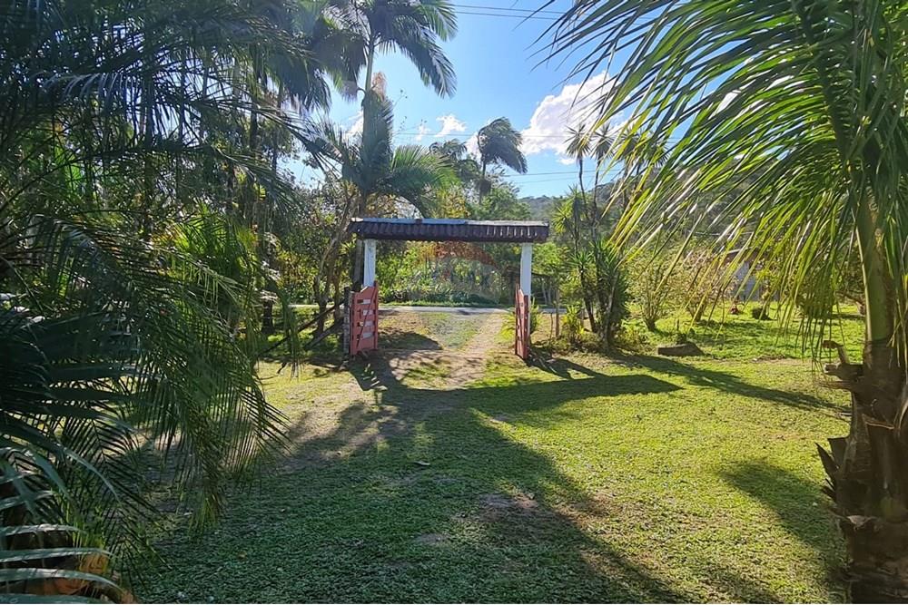 Chácara / Sítio / Fazenda - Venda - Antonina , Paraná - cfe4bf99-4a56-4008-8619-de4af7b8940d.jpeg - 560391051-9