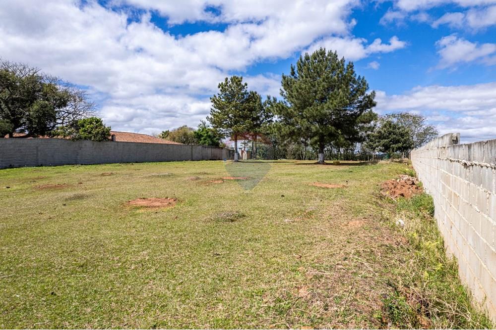 Terreno - Venda - Campo Largo , Paraná - DJI_0841.jpg - 560391078-61