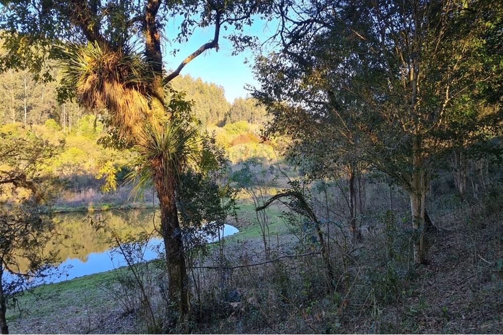 Chácara / Sítio / Fazenda - Venda - Mandirituba , Paraná - 1920712a-e3ab-49f2-a675-394db8dca2d0.jpeg - 560391051-7