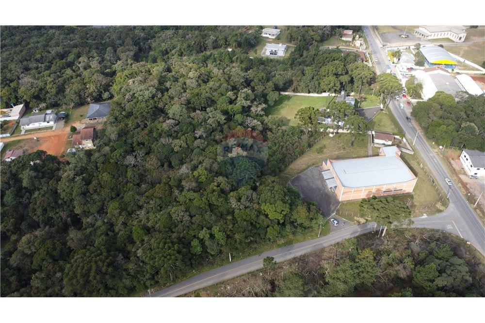 Terreno - Venda - São José dos Pinhais , Paraná - 7 - 560341114-47