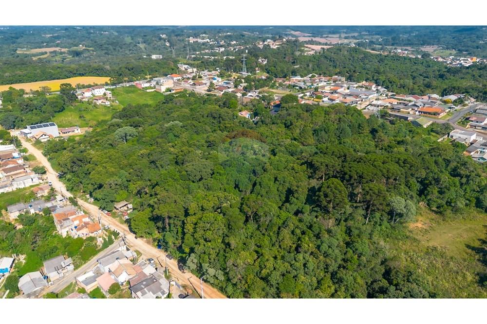 Terreno - Venda - Almirante Tamandaré , Paraná - DJI_0009.jpg - 560411008-76