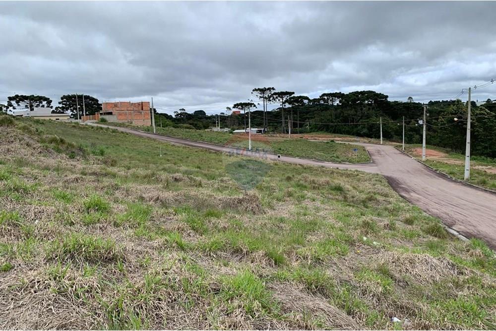 Terreno - Venda - Quatro Barras , Paraná - 08.jpg - 560461019-10