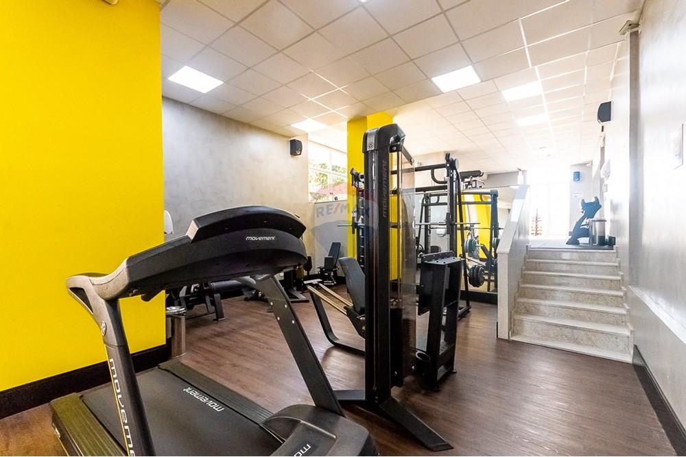 Apartamento - Alugar - Curitiba , Paraná - ProfPedroVPdeSouza-55.jpg - 560311047-543