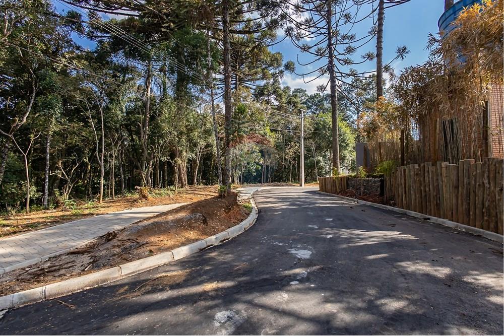 Casa de Condomínio - Venda - Curitiba , Paraná - IMG_6322.jpg - 560431033-13