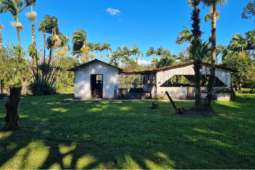 Chácara / Sítio / Fazenda - Venda - Antonina , Paraná - 1d7715e0-4201-4157-ab09-28e818e380ef.jpeg - 560391051-9