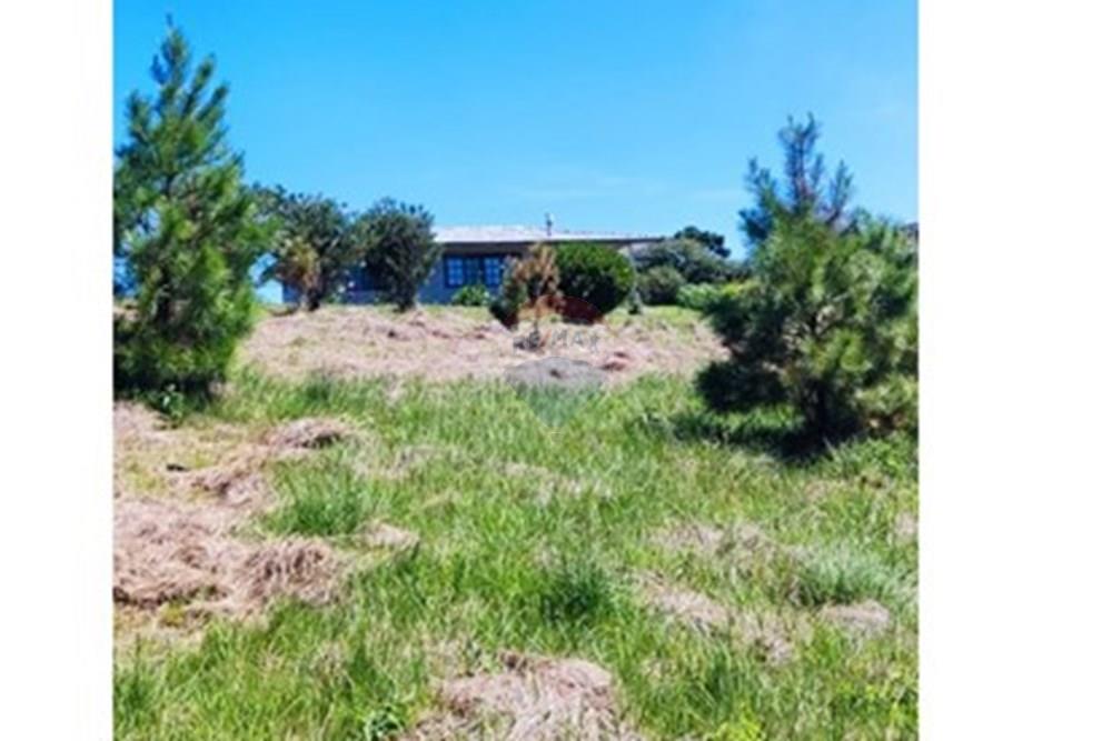 Chácara / Sítio / Fazenda - Venda - São José dos Pinhais , Paraná - 72.jpeg - 560331080-8