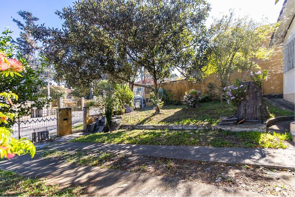 Terreno - Venda - Curitiba , Paraná - IMG_8058.jpg - 560441037-6