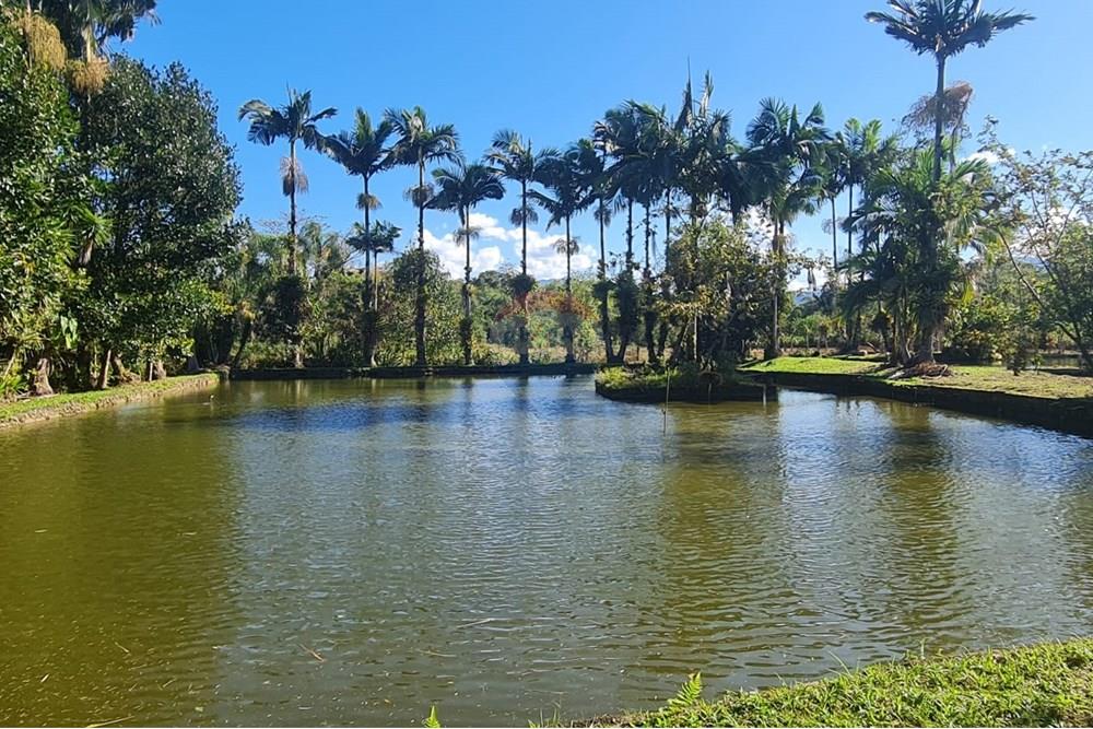 Chácara / Sítio / Fazenda - Venda - Antonina , Paraná - 505f957d-3024-4a9f-8aed-89fe8f35ed14.jpeg - 560391051-9