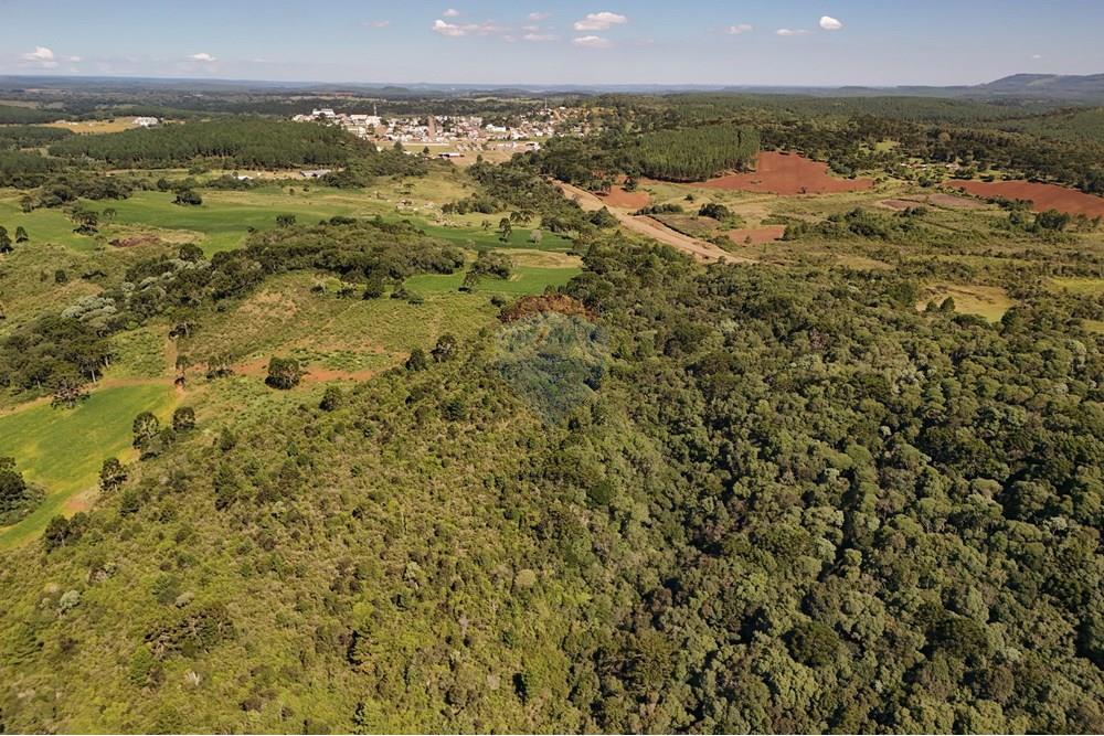 Terreno - Venda - Calmon , Santa Catarina - Sentido Calmon.JPG - 560351109-12