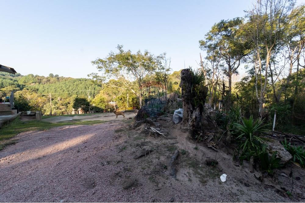 Chácara / Sítio / Fazenda - Venda - Mandirituba , Paraná - IMG_1373.jpg - 560341112-24