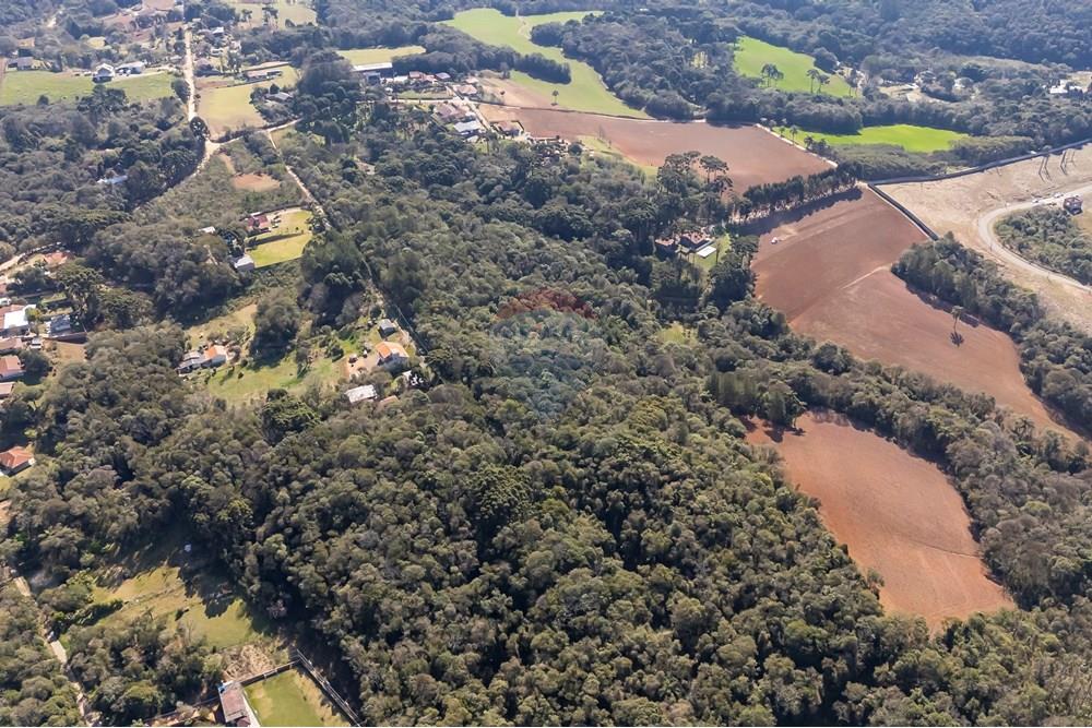 Terreno - Venda - Campo Largo , Paraná - DJI_20250818141208_0001_D_1.jpg - 560461009-53