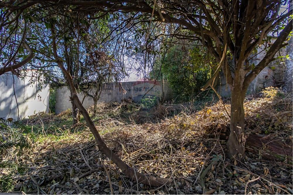 Terreno - Venda - Curitiba , Paraná - IMG_7320.jpg - 560341040-20