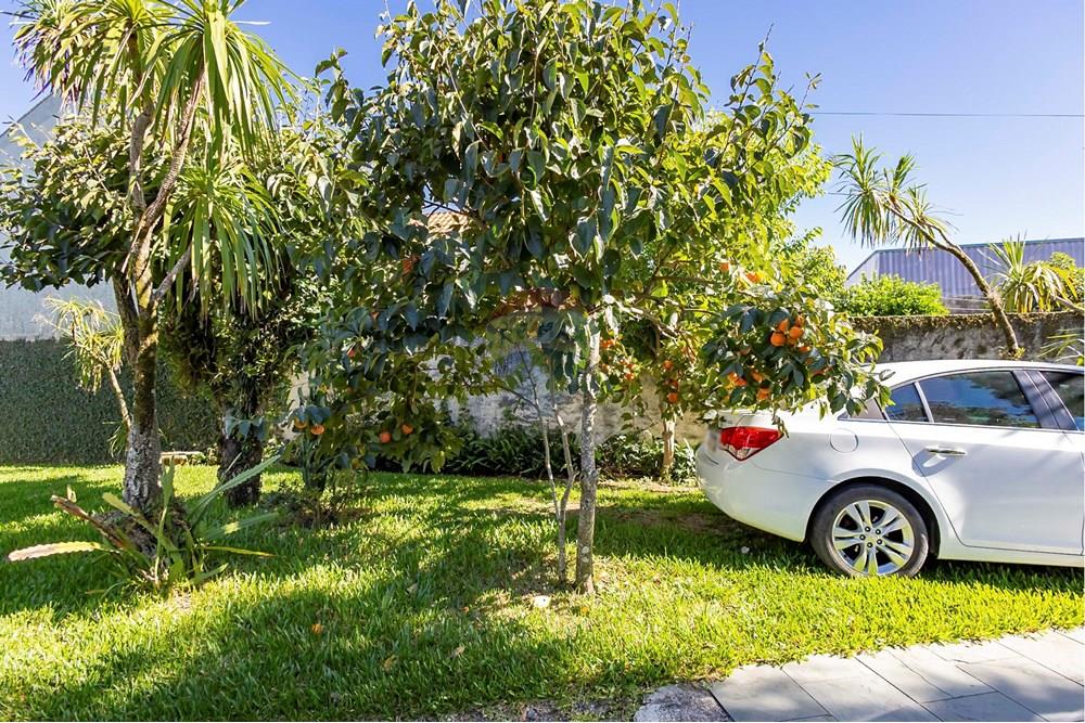 Terreno - Venda - Curitiba , Paraná - 10.jpg - 560411004-78