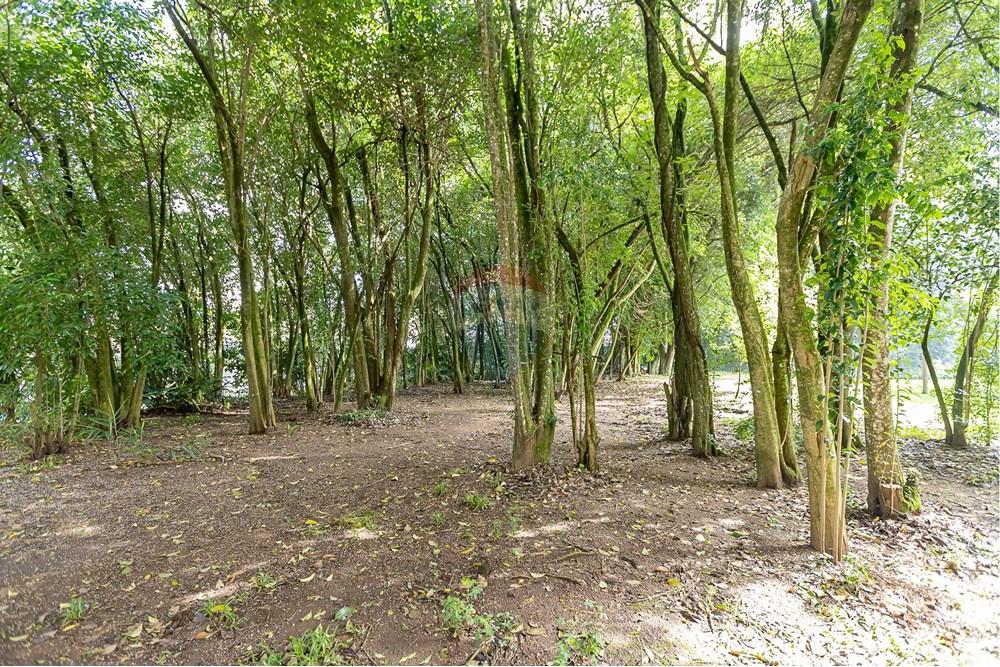 Apartamento - Venda - Curitiba , Paraná - IMG_9367.jpg - 560311047-445