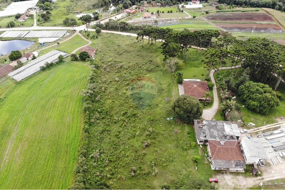 Terreno - Venda - São José dos Pinhais , Paraná - DJI_0627.JPG - 560351069-39