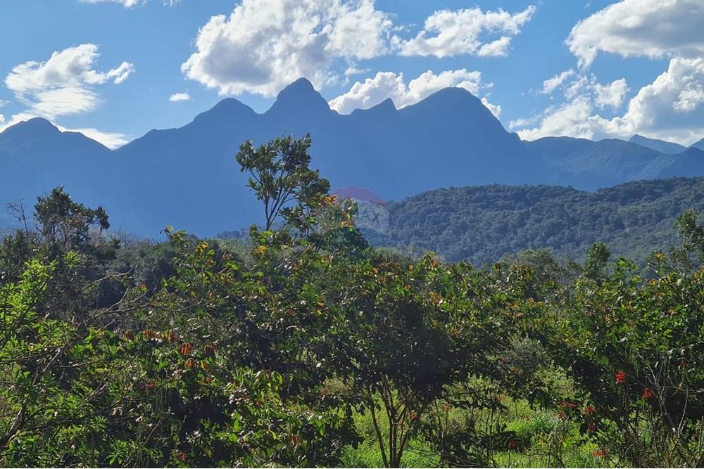 Chácara / Sítio / Fazenda - Venda - Antonina , Paraná - 4752ce87-e3b3-4de0-a812-6b4b740a5d5f.jpeg - 560391051-9