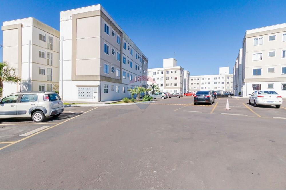 Apartamento - Venda - São José dos Pinhais , Paraná - IMG_9324.jpeg - 560331022-68