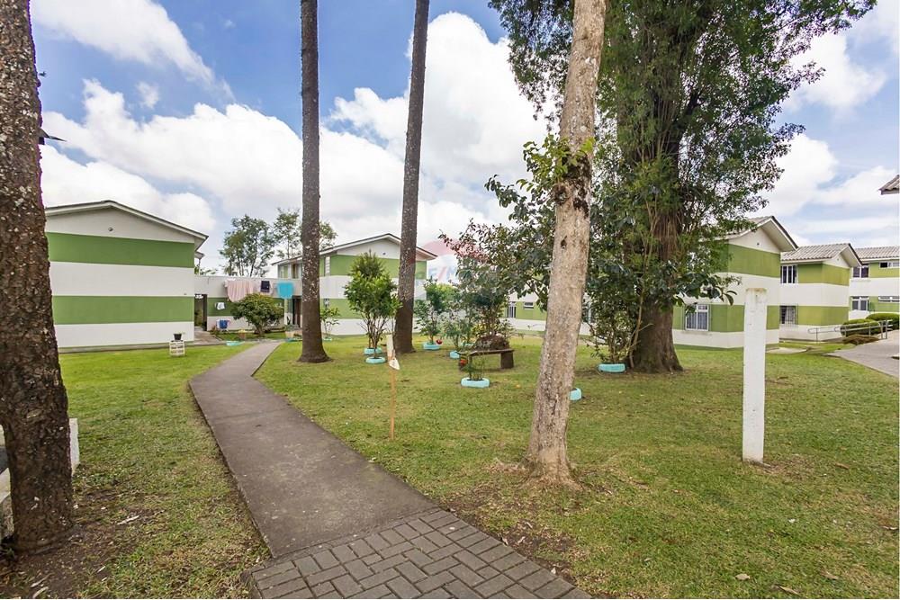 Apartamento - Venda - Curitiba , Paraná - IMG_4227_1.jpg - 560311063-10