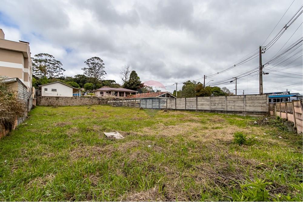 Terreno - Venda - Quatro Barras , Paraná - IMG_9739.jpg - 560411029-21
